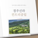 우리골프경주점 - 경주시 공단로69번길 29 | 우리골프회원권거래소ㅣ경주, 신라CC 골프회원권 후기
