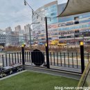 금란동물애견 이미지