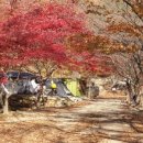 옥당걸숲속관광농원 이미지