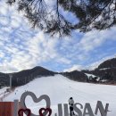 이쁜포리 | 지산스키강습 고민 끝에 선택한 로렌어린이스키학교 지산점, 7세·9세 형제 스키 강습 도전 후기