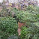 거제식물원 이미지