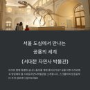안산도서관 시청각실 | 서울 서대문 자연사박물관 후기: 공룡 덕후 아이와 꼭 가봐야 할 곳