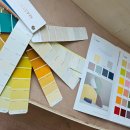 차차네 유치원 이미지