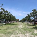 군부대 협의로 7~8월에만 개방되는 스노쿨링 가능한 청정 해변 이미지