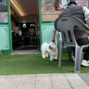 오늘통닭가재울점
