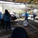 간동면사무소 이미지