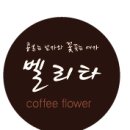벨리타커피플라워