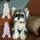 퍼피유니티 이미지