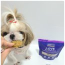 포쉬퍼피 | 강아지눈물사료 피쉬포독 화이트피쉬 한 달 후기