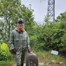 태백 매봉산 산행 (2024.6.22) 이미지