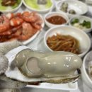 여수굴세꼬시 | 전주 석화찜 맛집 제철 굴집으로 유명한 여수굴세꼬시 방문 후기