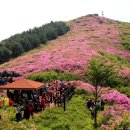 봉화산 티스토리