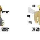 몽시오 이미지