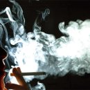 클린짐 휘트니스 이미지