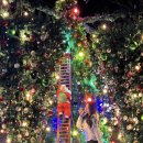 여주-0011 이미지