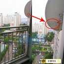 코렌 이미지