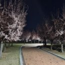 삼성현역사문화공원 헤럴드경제