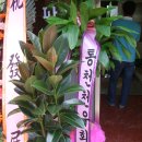 웅촌탕제원 Daum카페