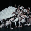 아브라카다브라 이미지