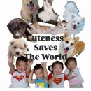 특별해짐 이미지