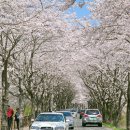 백민미술관 광장 주차장 이미지