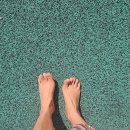 숲속파도소리 이미지