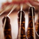 선비의 악기, 거문고 이미지