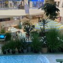 럭키메드 이미지