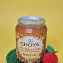 지에스25 목포하당남부점 | GS25 편의점 신상 조야 매실 사과 샤베트 조야 매실주 할인 재고확인