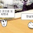 한국도로공사전북본부 | 도로만 잇는 게 아니었어? [한국도로공사 전북 본부 '배움 잇는 멘토링' 1편]