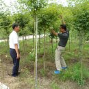 배식농장 이미지