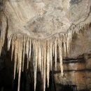 (주)동강 이미지