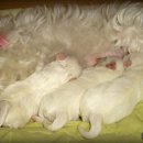 고은햇살 이미지