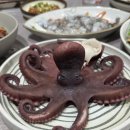 참스큐