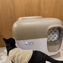 전문탁자동차이야기 | 펫스노위 고양이자동화장실 후기- 감자캐는 집사여 안녕!