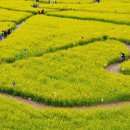 강변공원주차장 이미지