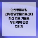 선부중앙동물의료센터 | 안산동물병원 선부중앙동물의료센터 최신 의료 기술로 우리 아이 건강 지키기