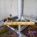 진명농장1 이미지