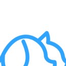 몽냥몽냥 강아지분양 고양이분양 송파점 이미지