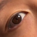 이마트24 대전탄방점 | 대전 속눈썹 펌 연장 잘하는곳 둔산동 뷰티톡톡 탄방골드점