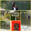 금수펜션(산장) 이미지