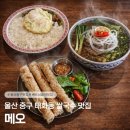 6616 | [울산/중구] 태화강국가정원 쌀국수 맛집 메오, 베트남 음식 입문 후기