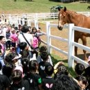 원당목장 이미지