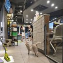 부산뱅갈하우스 이미지