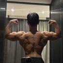 에이블짐 종합운동장역점 | 잠실PT/잠실새내PT : 로건이 알려주는 등맛집 루틴