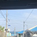 유채향 민박 | 5월 제주여행, 2일차 / 한담해변, 하루필름카페, 소길별하, 카페아로리, 협재해수욕장, 협재솥