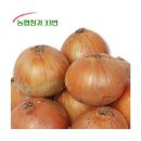 소3-33 이미지