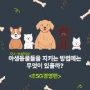 포유코스메틱주 | 우리의 이웃, 야생동물들을 지키는 방법엔 무엇이 있을까? - ESG 경영편🌱
