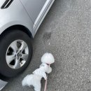 레인보우동물병원 이미지