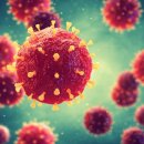 대구유가초등학교 이미지